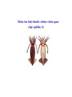 Tài liệu Món ăn bài thuốc chữa bệnh viên gan cấp (phần 2) docx