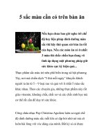 Tài liệu 5 sắc màu cần có trên bàn ăn doc