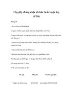 Tài liệu Cấp giấy chứng nhận tổ chức huấn luyện bay (FTO) pptx