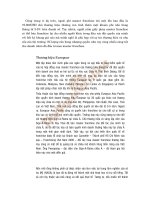 Tài liệu Mua Franchise - cơ hội mới cho các doanh nghiệp Việt Nam - Phần 2 doc