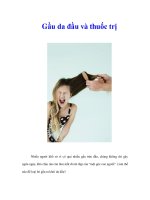 Tài liệu Gầu da đầu và thuốc trị pdf