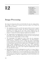 Tài liệu Introduction to Java: 12 Image Processing pdf