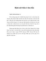 Tài liệu Bệnh nứt thân ở dưa hấu doc