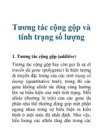 Tài liệu Tương tác cộng gộp và tính trạng số lượng doc