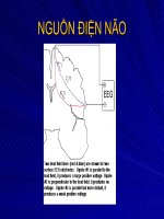 Tài liệu Bài giảng điện não tâm đồ EEG_Phần 2 pptx