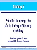 Tài liệu Phân tích thị trường, nhu cầu thị trường, môi trường Marketing pptx