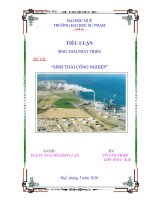 Tài liệu TIỂU LUẬN: SINH THÁI CÔNG NGHIỆP pdf