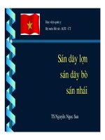 Tài liệu Ký sinh trùng - Sán dây lợn + Sán dây bò (Phần 1) ppt