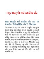 Tài liệu Học thuyết thể nhiễm sắc ppt