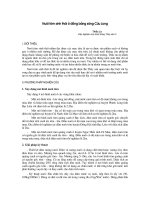 Tài liệu Nuôi tôm sinh thái ở đồng bẳng sông Cửu Long docx