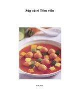 Tài liệu Súp cà ri Tôm viên docx