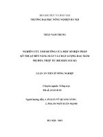 Nghiên cứu ảnh hưởng của một số biện pháp kỹ thuật đến năng suất và chất lượng rau mầm họ hoa thập tự (brassicaceace) 