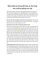 Tài liệu Biện pháp mạ mùng kết hợp né rầy trong sản xuất lúa giống các cấp docx