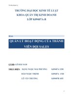 QUẢN LÝ HOẠT ĐỘNG CỦA THÀNHVIÊN ĐỘI SALES