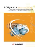 Tài liệu Network Access POPgate™ / s Switch ppt
