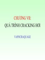 QUÁ TRÌNH CRACKING HƠI VAPOCRAQUAGE