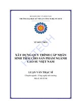 Luận văn Xây dựng quy trình cấp nhãn sinh thái cho sản phẩm ngành cao su Việt Nam