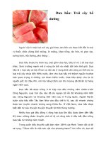 Tài liệu Dưa hấu: Trái cây bổ dưỡng doc