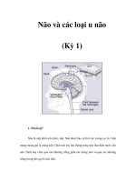 Tài liệu Não và các loại u não (Kỳ 1) docx