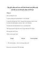 Tài liệu Cấp giấy phép mới sản xuất kinh doanh sản phẩm mật mã dân sự sau khi giấy phép cũ hết hạn pdf