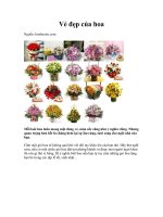 Tài liệu Vẻ đẹp của hoa doc