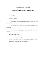 Tài liệu KHOA HỌC - NGUYÊN NHÂN LÀM NƯỚC BỊ Ô NHIỄM pptx