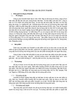 Phân tích báo cáo tài chính vinamilk 