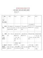 Tài liệu CHỦ ĐIỂM : THẾ GIỚI THIÊN NHIÊN - KẾ HOẠCH HOẠT ĐỘNG TUẦN 15 - Thứ 3 docx