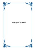 Tài liệu Tổng quan về MimiO doc