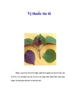 Tài liệu Vị thuốc tía tô pdf