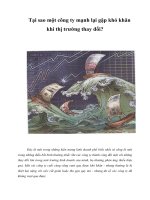 Tài liệu Tại sao một công ty mạnh lại gặp khó khăn khi thị trường thay đổi? docx