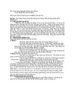 Tài liệu Xây Dựng Chương Trình Mô Phỏng Hệ Thống ViBa Số Bằng Phần Mềm ppt