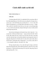 Tài liệu Cách chiết cành xa-bô-chê pdf