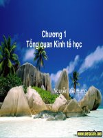 Tài liệu Tổng quan kinh tế học pptx