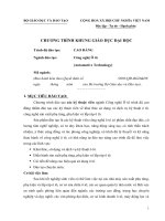 Tài liệu CHƯƠNG TRÌNH KHUNG GIÁO DỤC ĐẠI HỌC HỆ CAO ĐẲNG - NGÀNH Ô TÔ pptx