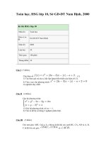 Tài liệu Toán học - thi HSG NAM DINH 10 ppt