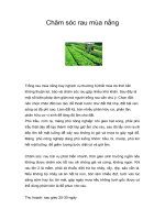 Tài liệu Chăm sóc rau mùa nắng doc