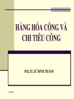 Tài liệu Tài chính công ĐH_ Chương 3 ppt
