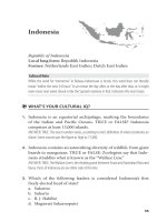 Tài liệu How to Do Business in 12 Asian Countries 7 pptx