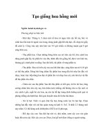 Tài liệu Tạo giống hoa hồng mới pdf