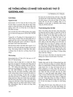 Tài liệu Nâng cao các kỹ năng về di truyền, sinh sản và lai tạo giống bò thịt nhiệt đới- chương 29 doc
