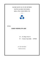 Báo cáo tính toán lưới: GRID MIDDLEWARE