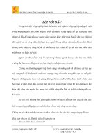 Báo cáo thực tập CÔNG TY LÂM UY