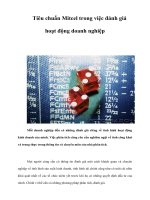 Tài liệu Tiêu chuẩn Mitcel trong việc đánh giá hoạt động doanh nghiệp docx