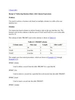 Tài liệu Enforcing Business Rules with Column Expressions docx