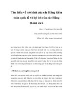 Tài liệu Tìm hiểu về mô hình của các Hãng kiểm toán quốc tế và lợi ích của các Hãng thành viên pdf