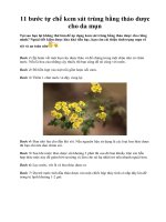 Tài liệu 11 bước tự chế kem sát trùng bằng thảo dược cho da mụn docx