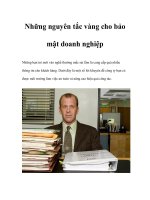 Tài liệu Những nguyên tắc vàng cho bảo mật doanh nghiệp ppt