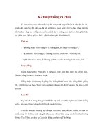 Tài liệu Kỹ thuật trồng cà chua pdf