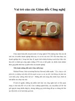 Tài liệu Vai trò của các Giám đốc Công nghệ docx